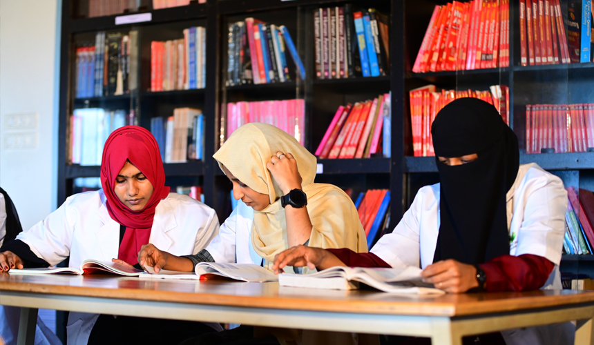 Women's Studies